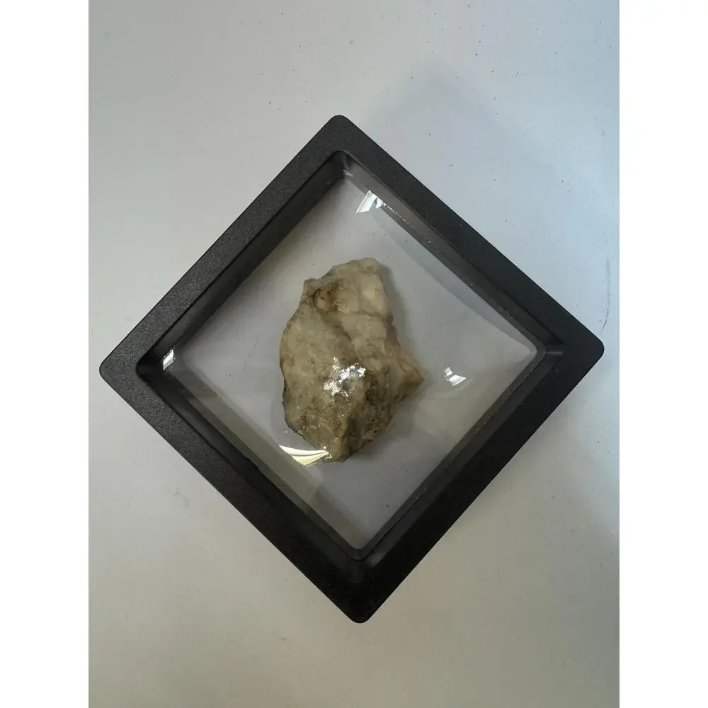 Gold on Quartz Specimen From Nevada City, California - Found in 2025